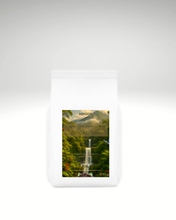 Učitajte sliku u preglednik galerije, Costa Rica Finca Monte Alto Red Catuai